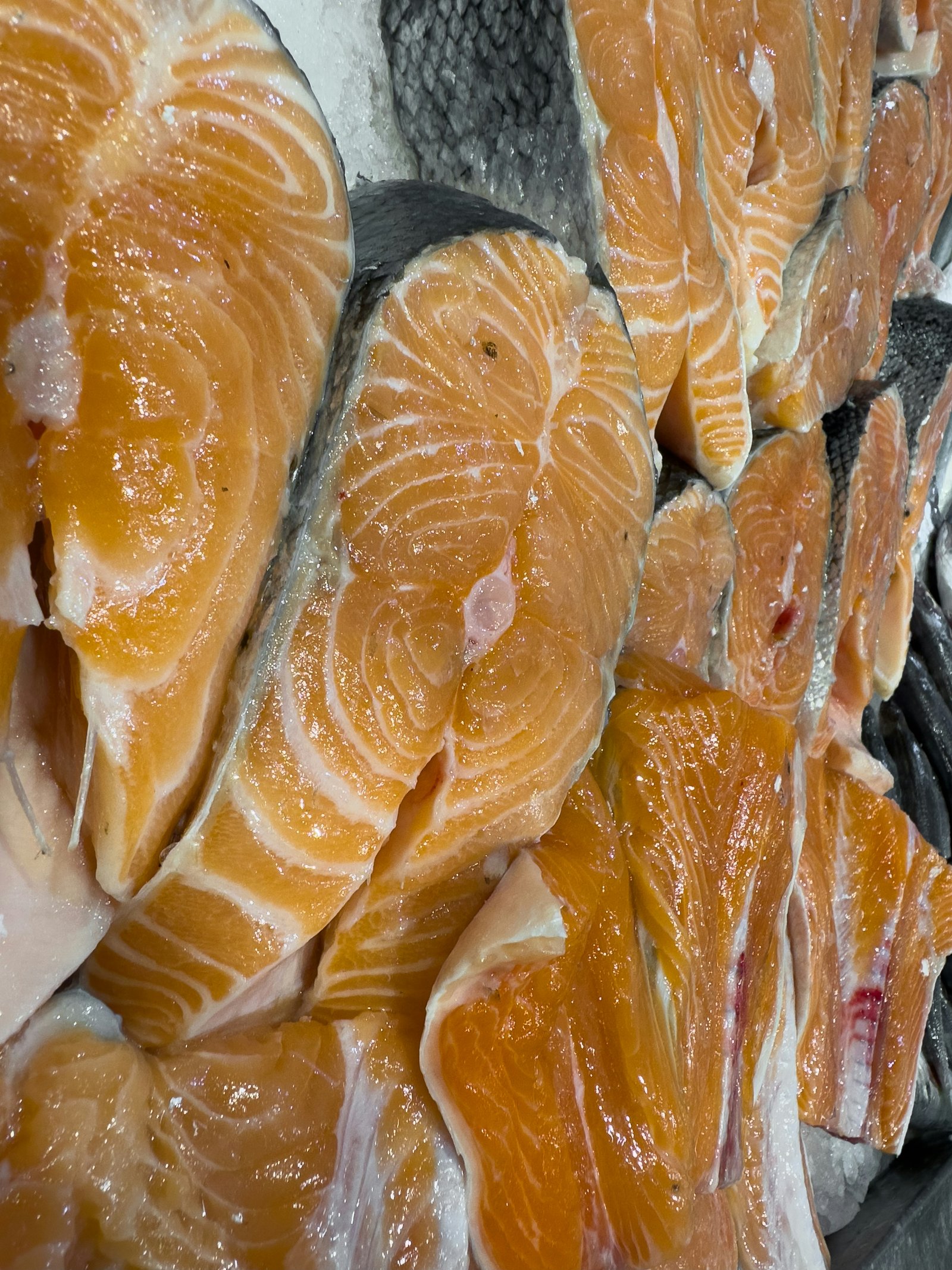 Salmon Fillet